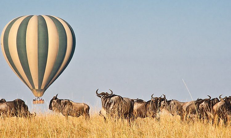 Best Time to Visit the Serengeti: Ultimate Africa Journeys’ Expert Guide