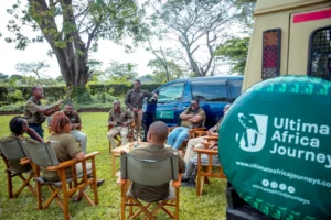 Choosing a Safari Company: Expert Guide to Trustworthy Tanzania Tour Operators