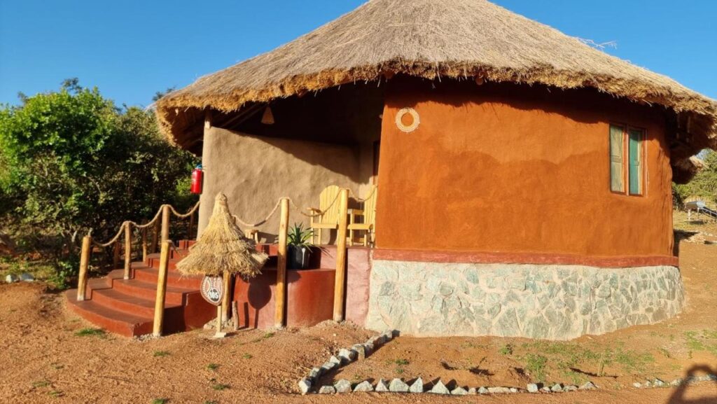 Discover how to make your African safari meaningful