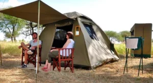 Luxury vs. Budget Safaris: Which is Right for Your African Adventure?