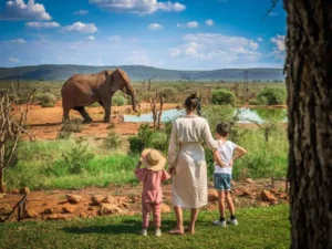 Discover Tanzania’s Hidden Gem – The Untamed Southern Safari Circuit